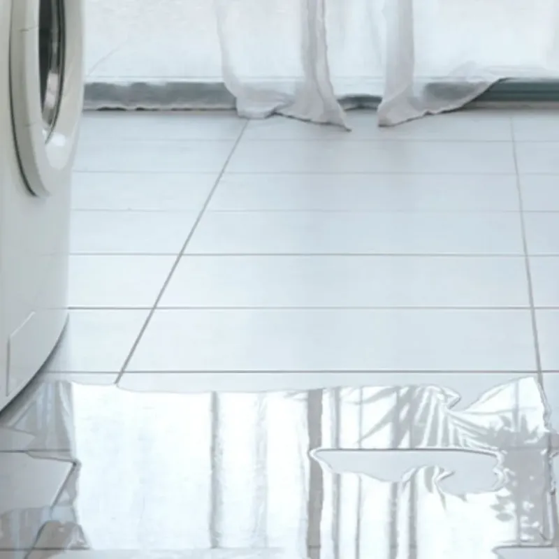 Appliance Leak Cleanup in Jackson, MI