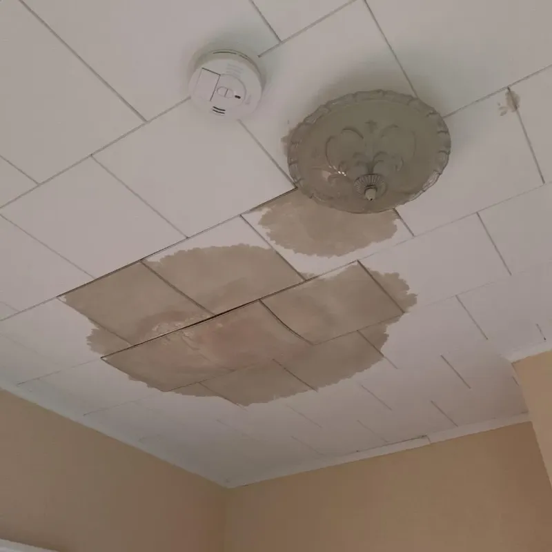 Ceiling Water Damage Repair in Jackson, MI