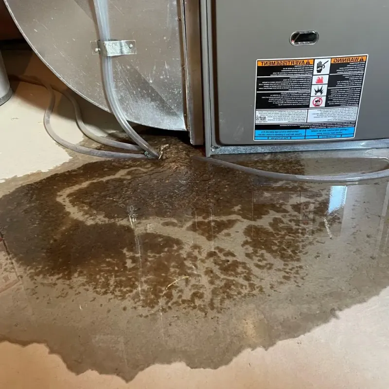 Pipe Burst and Leak Restoration in Jackson, MI