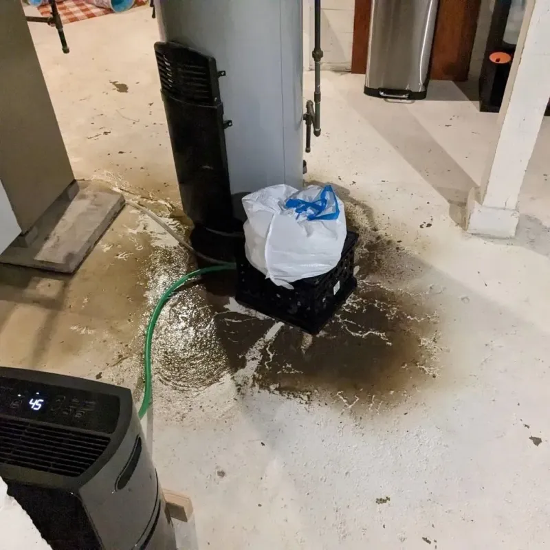 Sewage Backup Cleanup Service in Jackson, MI